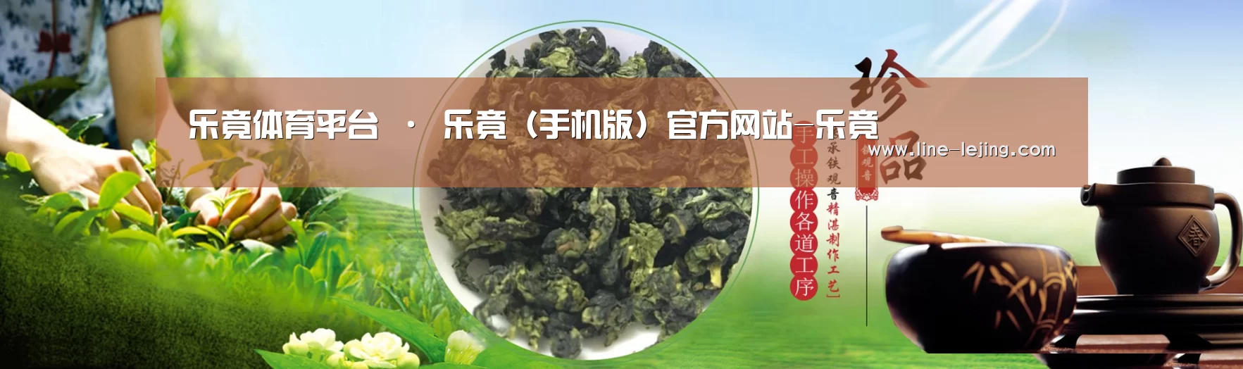 易优Cms-演示站