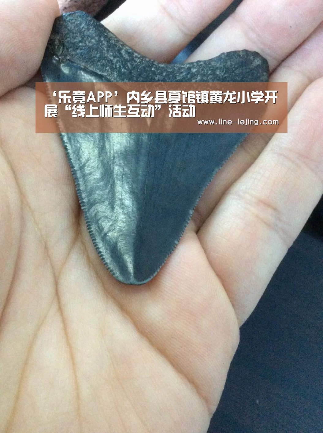 乐竟体育官网