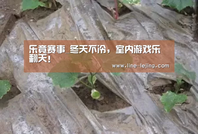 乐竟赛事_冬天不冷,室内游戏乐翻天!(图3) 乐竟APP