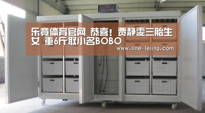 乐竟体育官网_恭喜!贾静雯三胎生女 重6斤取小名BOBO(图2) 乐竟体育官网