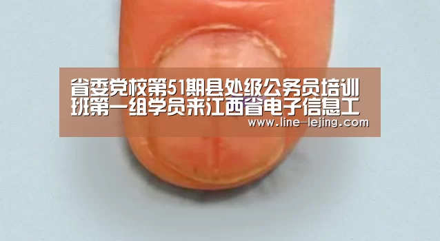 乐竟赛事