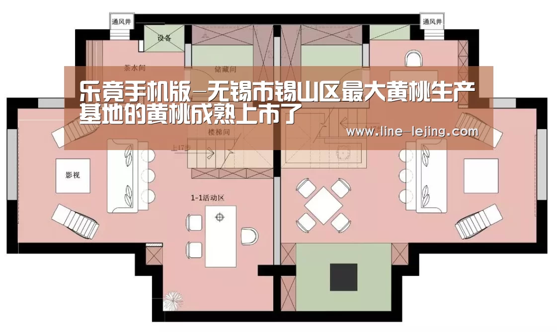 乐竟手机版-无锡市锡山区最大黄桃生产基地的黄桃成熟上市了