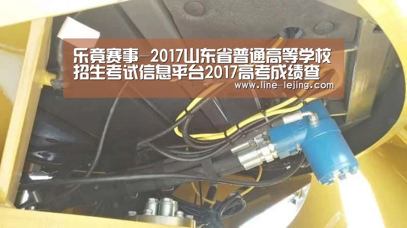 乐竟赛事-2017山东省普通高等学校招生考试信息平台2017