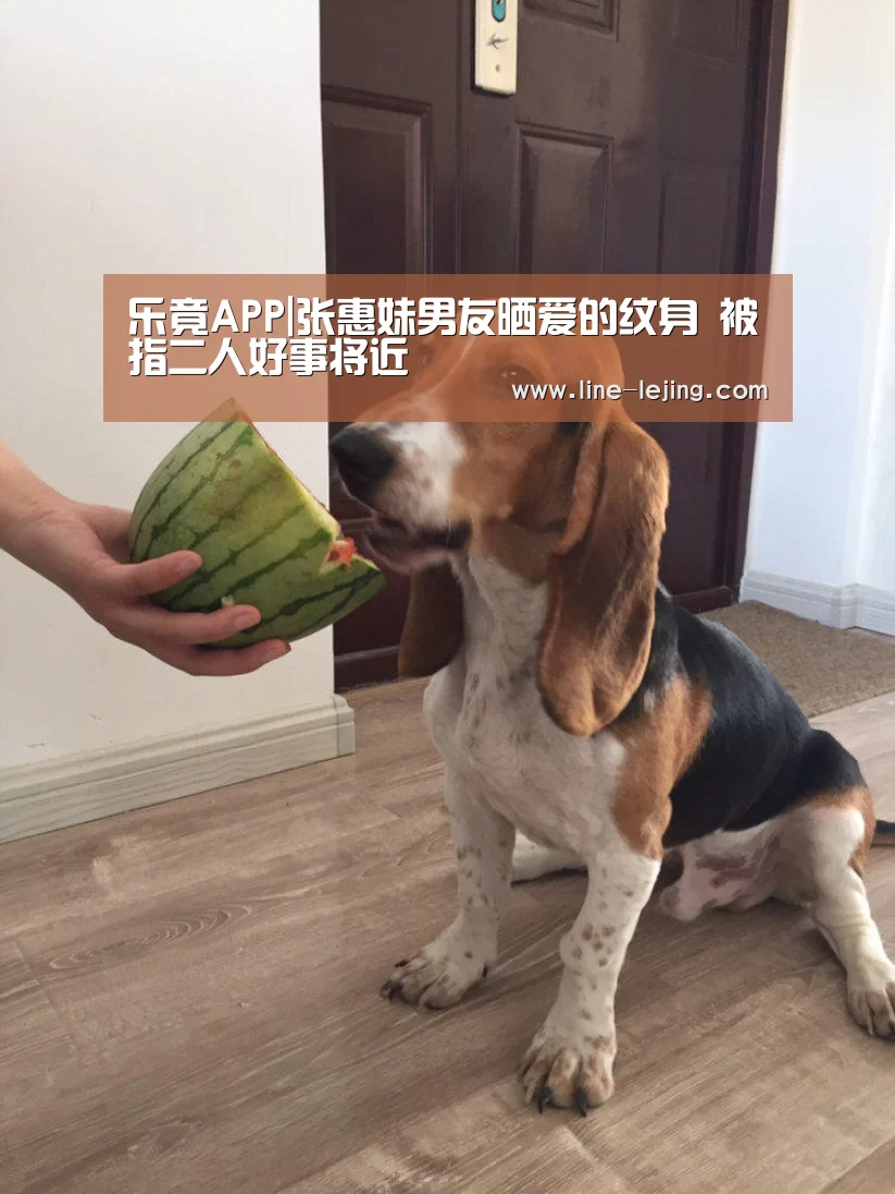 乐竟赛事