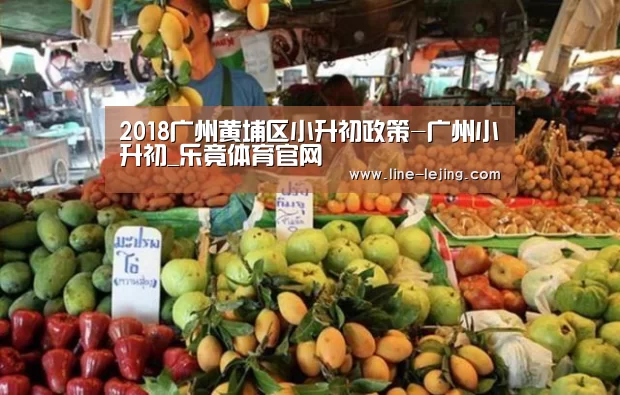 乐竟体育官网